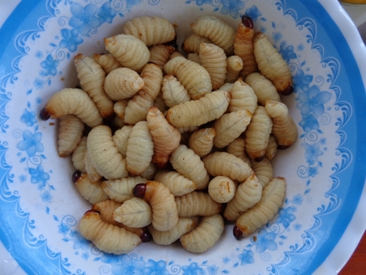 Bất[-]an[-]với[-]đặc[-]sản[-]đuông[-]dừa